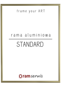 Złota rama aluminiowa STANDARD