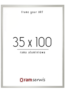 Srebrna rama aluminiowa 35x100
