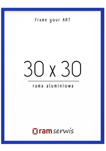 Niebieska rama aluminiowa 30x30