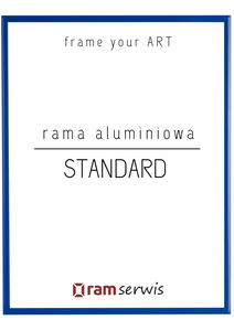 Niebieska rama aluminiowa STANDARD