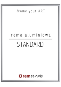 Srebrna rama aluminiowa STANDARD